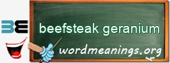 WordMeaning blackboard for beefsteak geranium